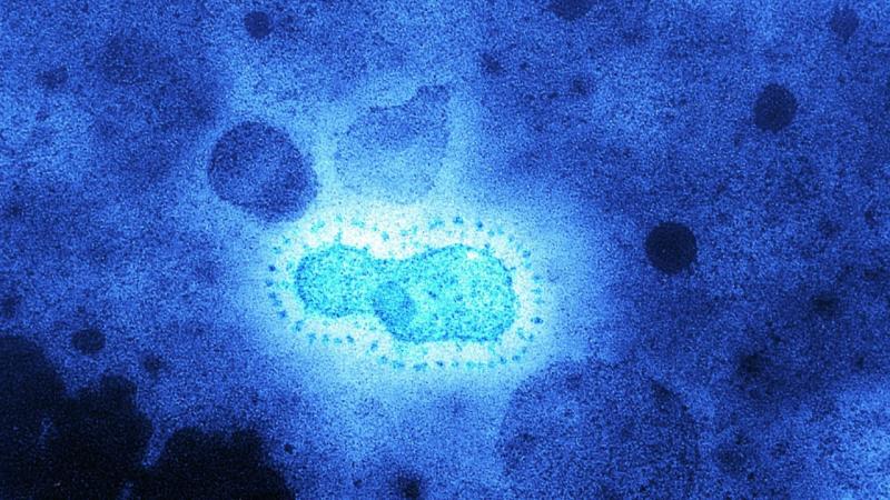 کشف شواهد یک همه گیری ویروس کرونا در حدود 20،000 سال پیش درآسیای شرقی